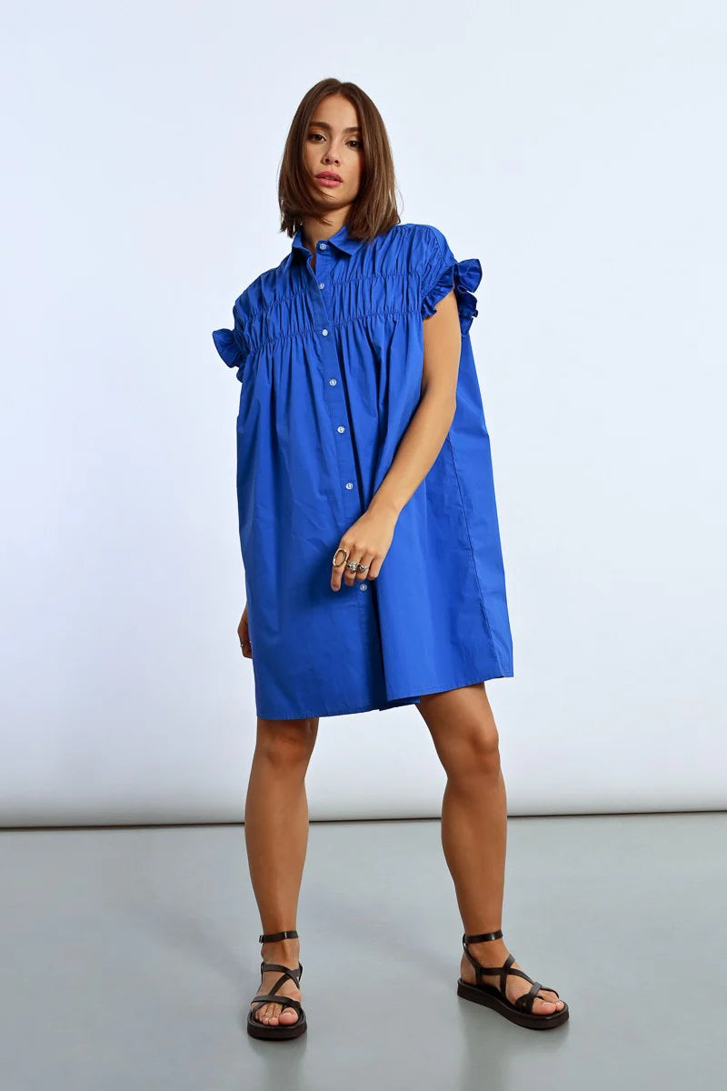 royal shirt dress Tuckernuck Royal Shirt Dress