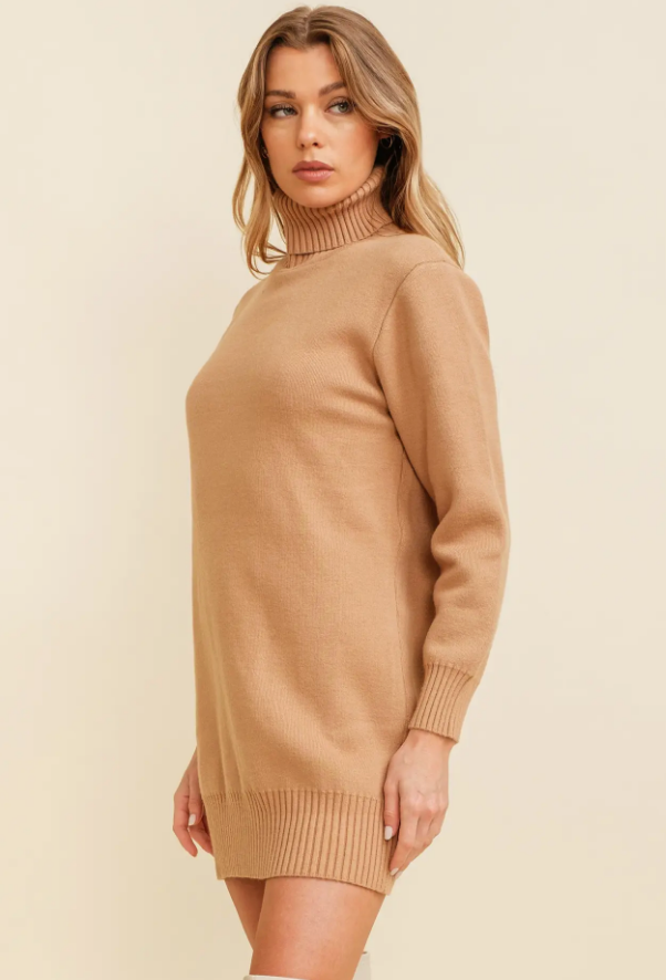 Tan turtleneck outlet sweater dress