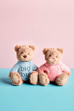 Big Bro Plush Bear