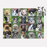 Rescue Dogs 1000 pc Puzzle