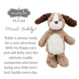 Teddy the Puppy