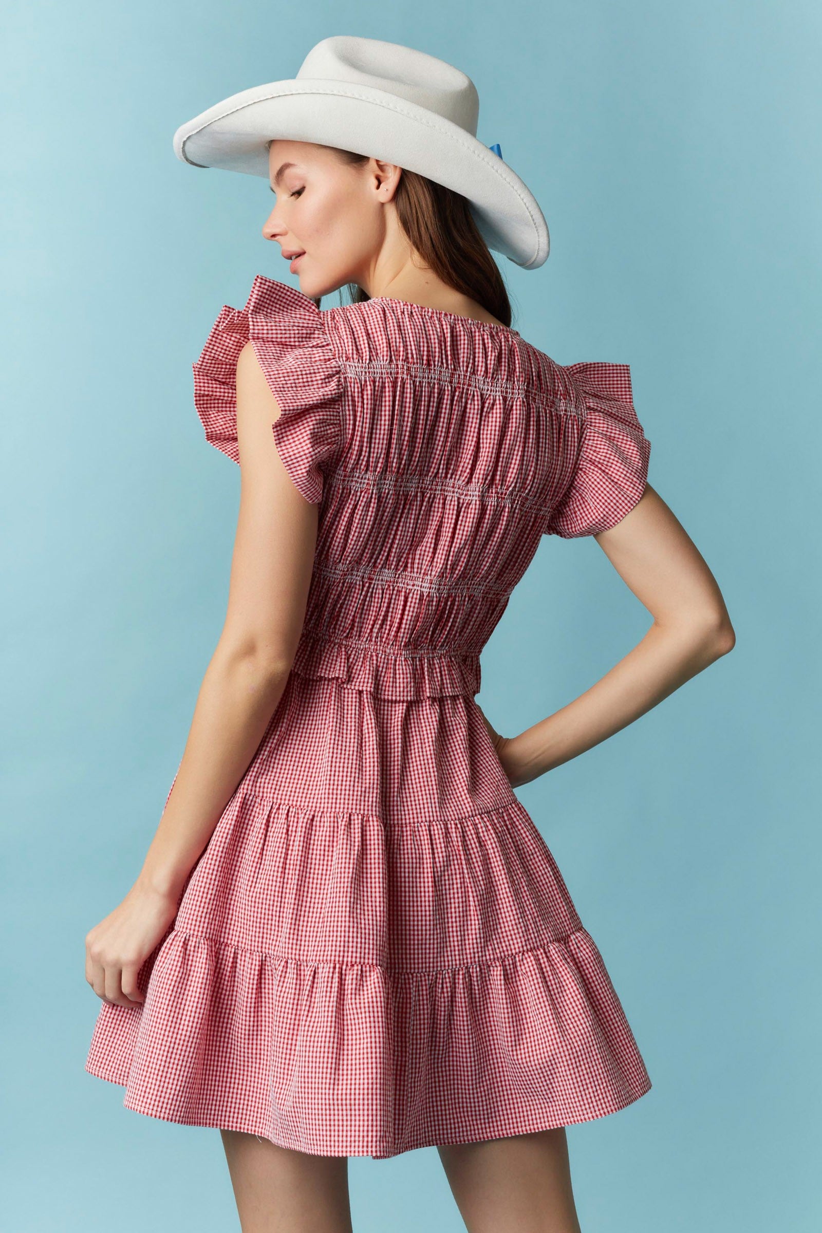 Red Gingham Double Bow Dress Fashion Cupcake Red Gingham Double Bow Dress Fashion Cupcake