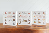 Our Big Book of First Words (Board Book)