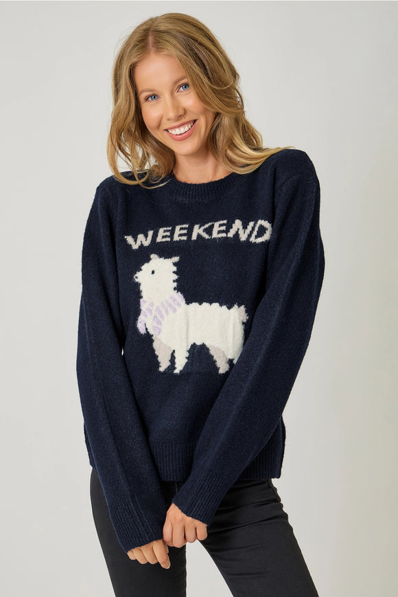 Navy Llama Weekend Sweater