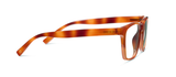 Peepers - Tavern - Blonde Tortoise
