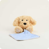 Large Warmie - Golden Dog Blankie