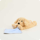 Large Warmie - Golden Dog Blankie