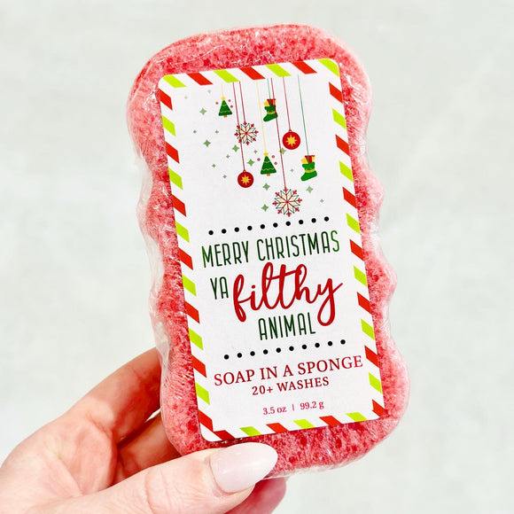 Soap In A Sponge - Merry Christmas Ya Filthy Animal