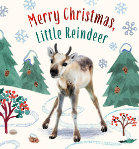 Merry Christmas Little Reindeer