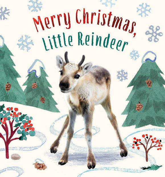 Merry Christmas Little Reindeer