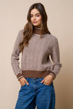 Brown Contrast Trim Turtleneck Knit Sweater