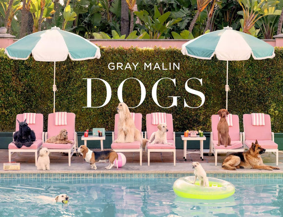 DOGS - Gray Malin Book
