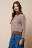Brown Contrast Trim Turtleneck Knit Sweater