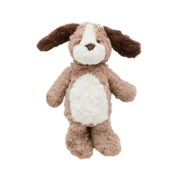 Teddy the Puppy