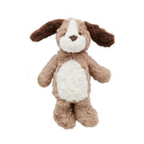 Teddy the Puppy