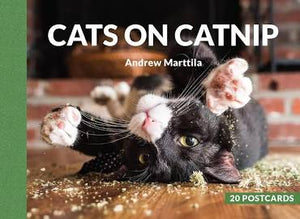 Cats On Catnip Postcard Book