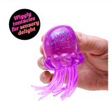 NeeDoh Jelly Squish