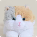 Calico Cat Warmies Junior