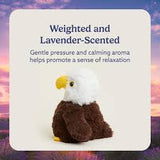 Large Warmie - Eagle