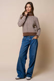 Brown Contrast Trim Turtleneck Knit Sweater