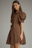 Brown Tie Waist Collared Dress