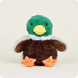 Large Warmie - Mallard