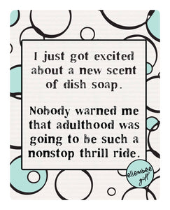 Excited about a new scent of soap funny Swedish dish cloths